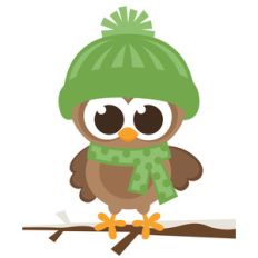 boy winter owl
