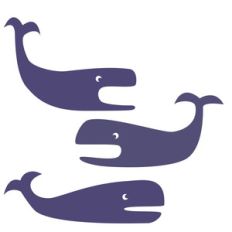 whales
