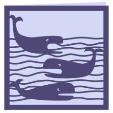 whales card