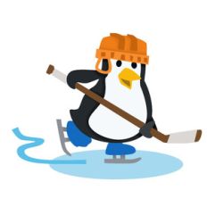 ice hockey boy penguin