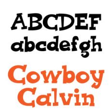 zp cowboy calvin