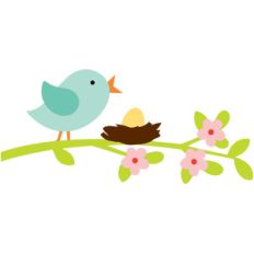 bird on a branch