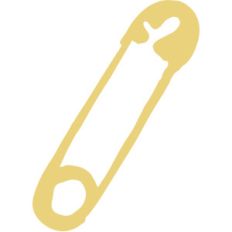safety pin