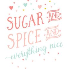sugar and spice quote