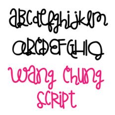 zp wang chung script