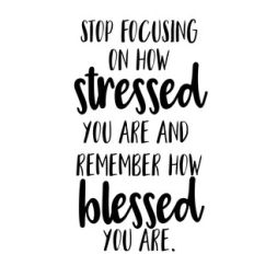 stressed blessed