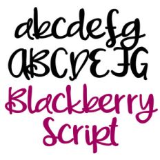 zp blackberry script