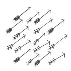 wild arrows