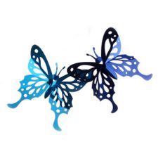 swallowtail butterfly