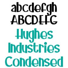 zp hughes industry condensed