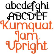 pn kumquat jam upright