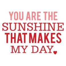 you are the sunshine