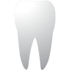 tooth