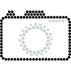 rhinestone camera