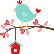 bird on branch