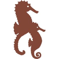 seahorses