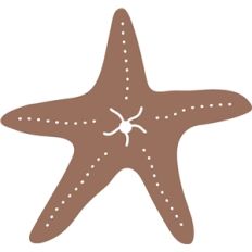 starfish