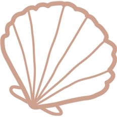 clam shell