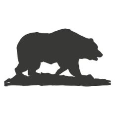 walking bear