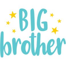 big brother