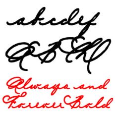 snf always and forever bold