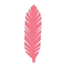 feather