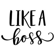 like a boss phrase
