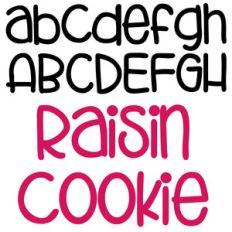 zp raisin cookie