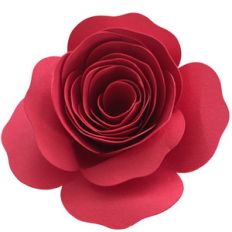 rolled rosette
