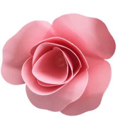 small rolled rosette