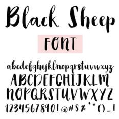black sheep handbrushed font