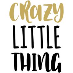 baby t-shirt crazy little thing