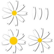9 petal daisy set