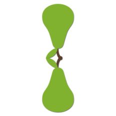 pear magnetic bookmark