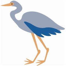 blue heron
