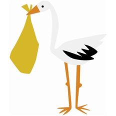 stork