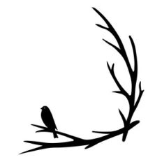 bird branch corner