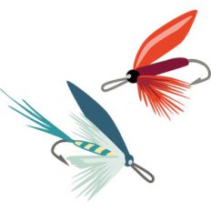 flies