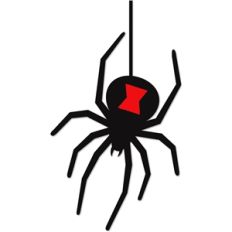 black widow