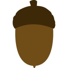 Acorn