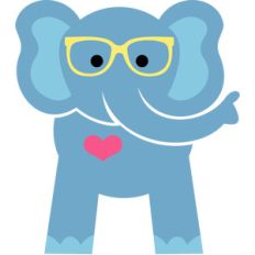 cute elephant
