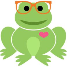 cute frog