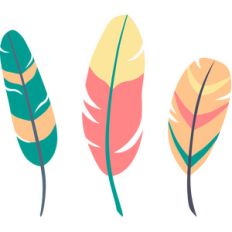 feathers