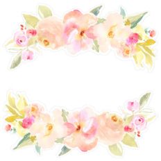 watercolor flower laurel
