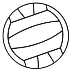 volleyball