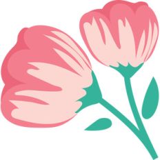 fairytale flowers