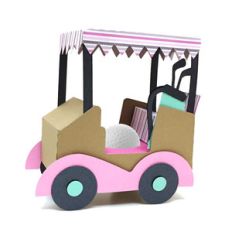 golf car box