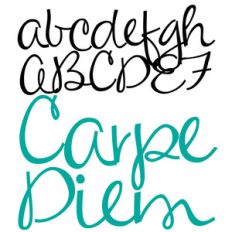 zp carpe diem