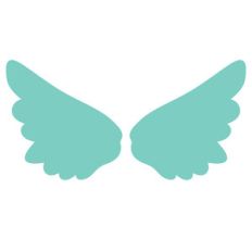 angel / fairy wings