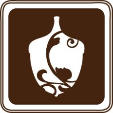 acorn